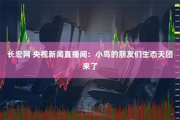 长宏网 央视新闻直播间:小鸟的朋友们生态天团来了