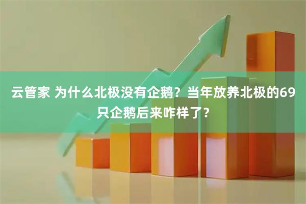 云管家 为什么北极没有企鹅?当年放养北极的69只企鹅后来咋样了?