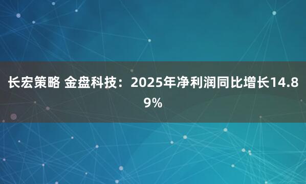 长宏策略 金盘科技：2025年净利润同比增长14.89%