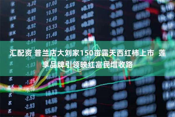 汇配资 普兰店大刘家150亩露天西红柿上市  莲享品牌引领映红富民增收路